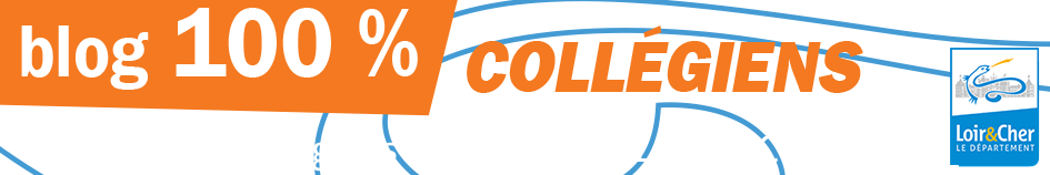 100% collégiens